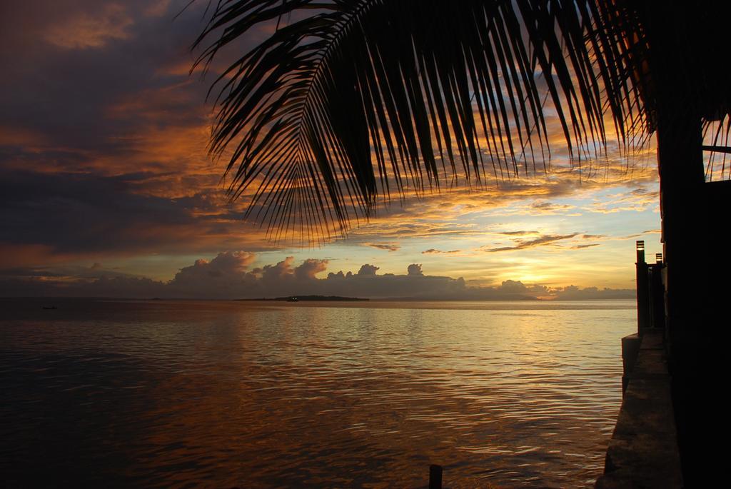 The Waigo Hotel Sorong Buitenkant foto
